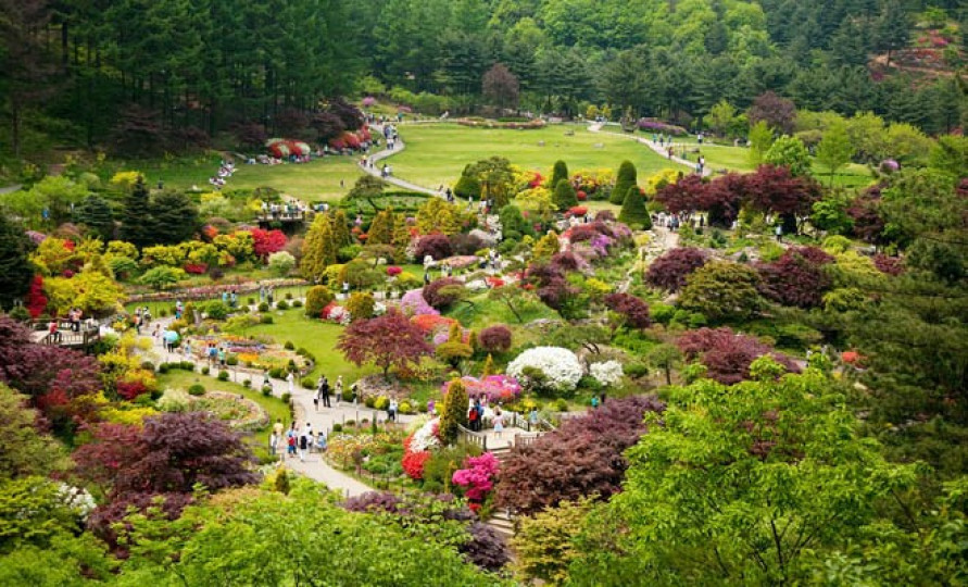 SEOUL - NAMI - CÔNG VIÊN EVERLAND - TRẢI NGHIỆM HÁI TRÁI CÂY TẠI VƯỜN