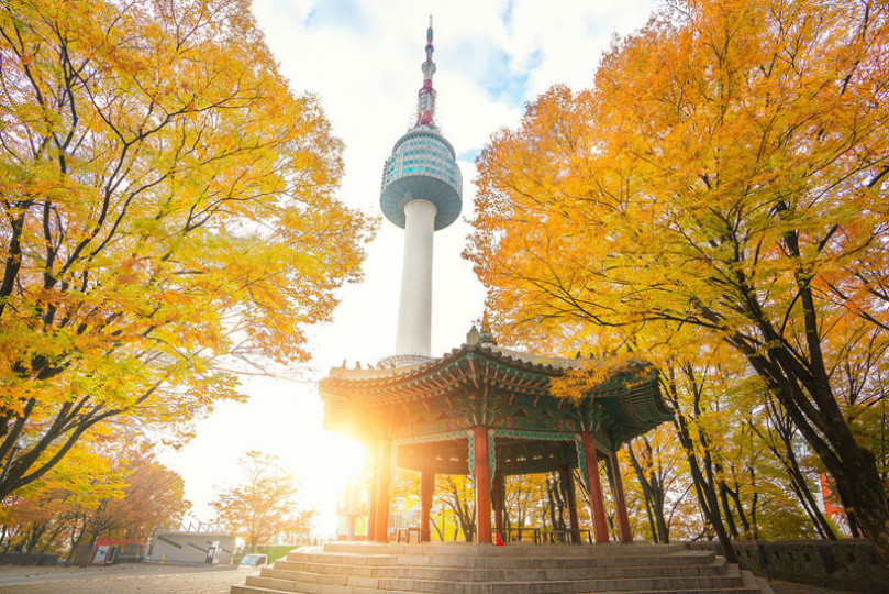 SEOUL - NAMI - CÔNG VIÊN EVERLAND - TRẢI NGHIỆM HÁI TRÁI CÂY TẠI VƯỜN