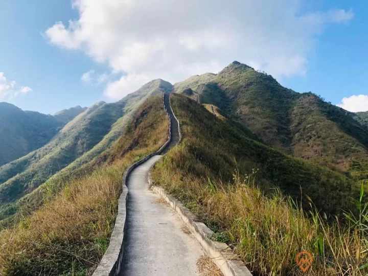THIÊN ĐƯỜNG CỎ LAU BÌNH LIÊU