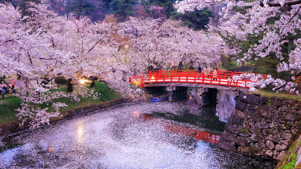 Nagoya – Osaka - Kyoto - Hakone - Fuji Mountain – Tokyo