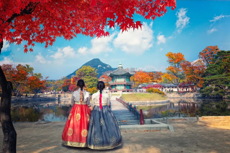 SEOUL - NAMI - CÔNG VIÊN EVERLAND - TRẢI NGHIỆM HÁI TRÁI CÂY TẠI VƯỜN