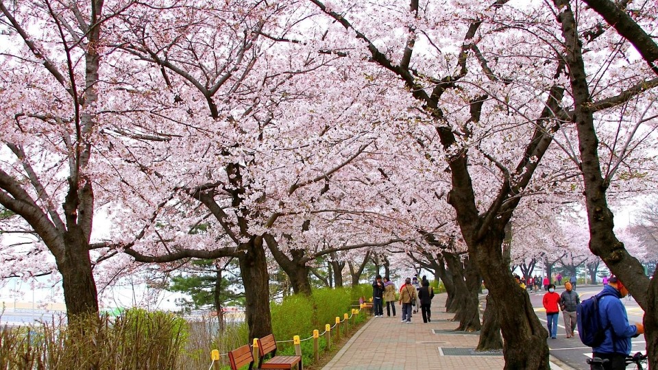 Seoul – Nami – Everland